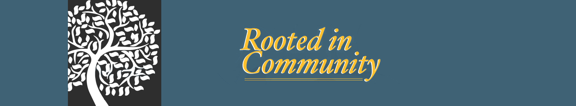 Image of a tree, text is "Rooted in Community"