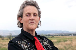 Temple Grandin - Visual Thinking: The Hidden Gifts of People Who Think in Pictures, Patterns, and Abstractions