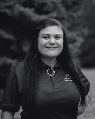 DSC 4982 21 e1762891696900